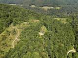 TBD Blue Ridge Road - Photo 16
