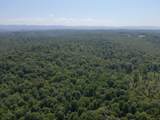 TBD Blue Ridge Road - Photo 20