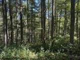 TBD Simpson Road - Photo 18