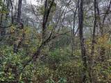 TBD Pickhandle Hill Road - Photo 11
