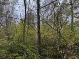 TBD Pickhandle Hill Road - Photo 12