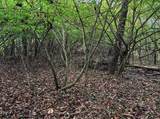 TBD Pickhandle Hill Road - Photo 14