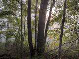 TBD Pickhandle Hill Road - Photo 16