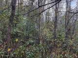 TBD Pickhandle Hill Road - Photo 8