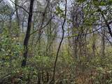 TBD Pickhandle Hill Road - Photo 9