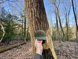 268 Wild Flower Way - Photo 33