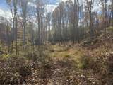 TBD Rt 41 (RR) - Photo 25