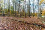 TBD Bortz Mine Road - Photo 15