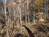 TBD Brush Run - Photo 16