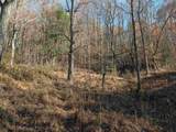 TBD Brush Run - Photo 5