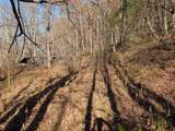 TBD Brush Run - Photo 7