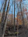 TBD Brush Run - Photo 8