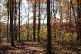Lot 11 Sand Bank Heights Road - Photo 20