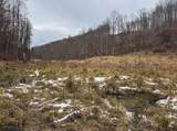 Lot 1 States Fork Road - Photo 11