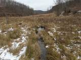Lot 1 States Fork Road - Photo 12