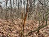 Lot 1 States Fork Road - Photo 22