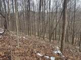 Lot 1 States Fork Road - Photo 23