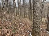 Lot 1 States Fork Road - Photo 24