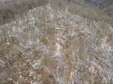 Lot 1 States Fork Road - Photo 29