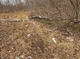Lot 1 States Fork Road - Photo 4