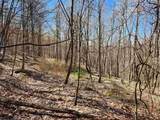 TBD Lynn Chapel Road - Photo 11