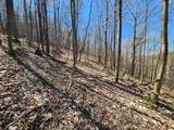 TBD Lynn Chapel Road - Photo 14