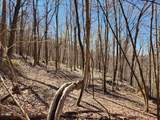 TBD Lynn Chapel Road - Photo 19
