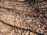 TBD Lynn Chapel Road - Photo 22