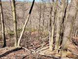 TBD Lynn Chapel Road - Photo 6