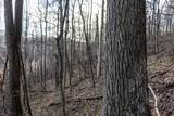 Lot 1 Frost Run - Photo 16