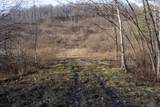 Lot 1 Frost Run - Photo 5