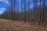 2110 Teter Creek Road - Photo 11