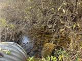 Lot 1 River Run Road - Photo 4
