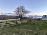 561 Creed Isner Road - Photo 10