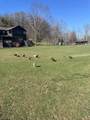 561 Creed Isner Road - Photo 35
