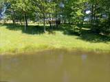 301 Dinkenberger Road - Photo 49
