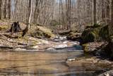 Lot 1 Fairfax Mine Road - Photo 1
