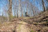 Lot 1 Fairfax Mine Road - Photo 10