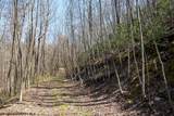 Lot 1 Fairfax Mine Road - Photo 11