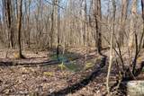 Lot 1 Fairfax Mine Road - Photo 12