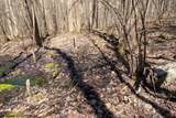 Lot 1 Fairfax Mine Road - Photo 13