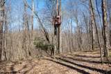 Lot 1 Fairfax Mine Road - Photo 14