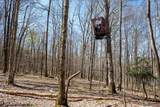 Lot 1 Fairfax Mine Road - Photo 15