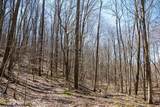 Lot 1 Fairfax Mine Road - Photo 16