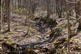 Lot 1 Fairfax Mine Road - Photo 17