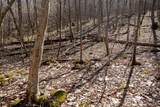Lot 1 Fairfax Mine Road - Photo 18