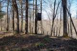 Lot 1 Fairfax Mine Road - Photo 21