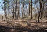 Lot 1 Fairfax Mine Road - Photo 22