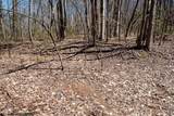 Lot 1 Fairfax Mine Road - Photo 23