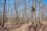 Lot 1 Fairfax Mine Road - Photo 24